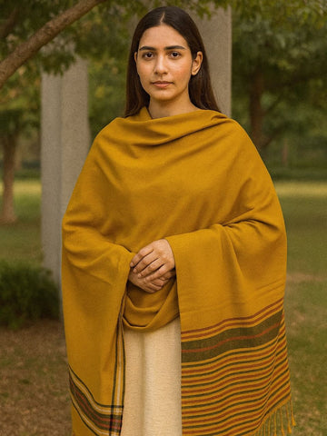 Stuff Pashmina Shawl Elegant And Beautiful Banarsi Shawl